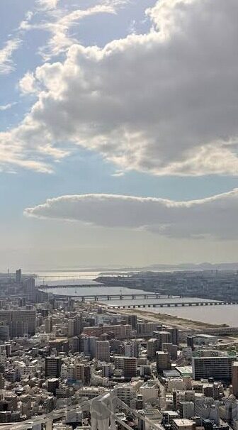 88比分直播足球比分-实时掌握绿茵脉搏，88比分直播——足球迷的掌上观赛神器