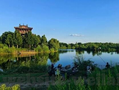 亚洲足球比分亚锦-亚锦烽火，亚洲足球比分的激情与荣耀交响