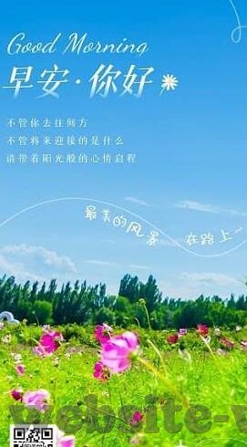 足球波胆其他比分-足球波胆中的其他比分现象，深度解析与策略探讨