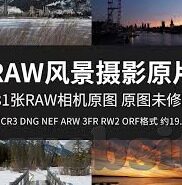 足球直播足球比分网-足球直播与比分网，球迷的数字战场，激情与数据的交响曲